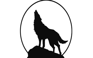 1719799123266593.png